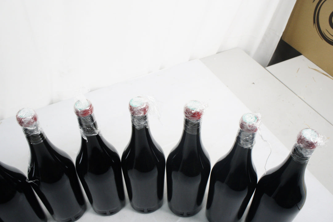 Cellier Saint Benoit Arbois Pupillin Courbes Raies Pinot Noir 2022