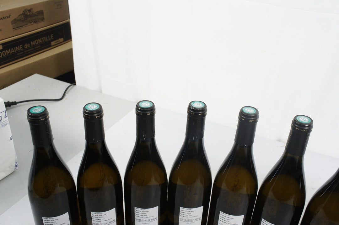 Domaine de Cassiopee Bourgogne Hautes Cotes de Beaune Les Cotes Blanc 2022