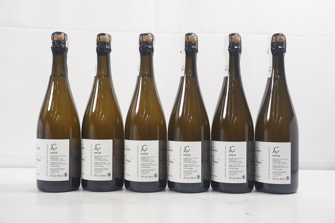 Alexandre Grimee Sous Les Trous Vigne de Bonneil Pinot Meunier Brut Nature 2022