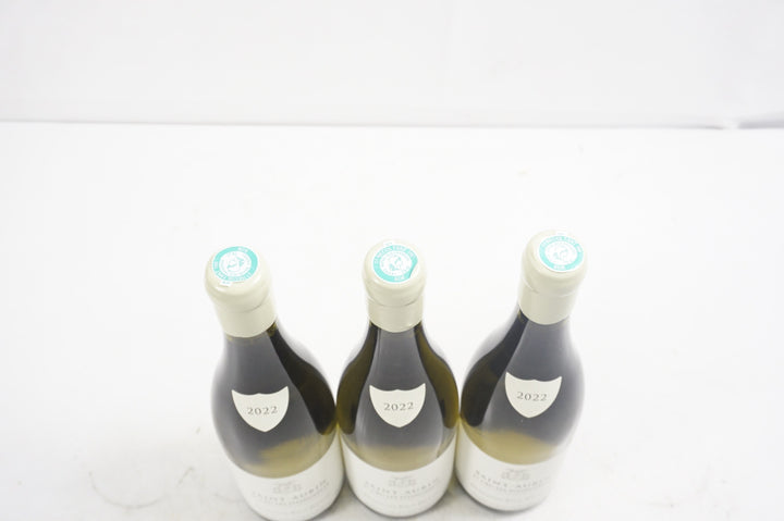 Paul Pillot Saint Aubin Les Pitangerets 1er Cru 2022