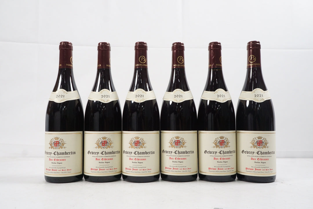 Philippe Jouan Gevrey Chambertin Aux Echezeaux VV 2021