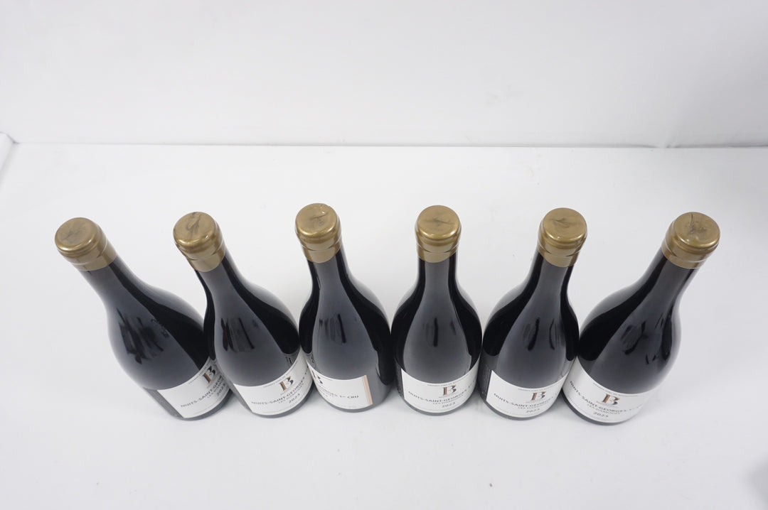 Boigey Freres Nuits Saint Georges Les Damodes 1er Cru 2023