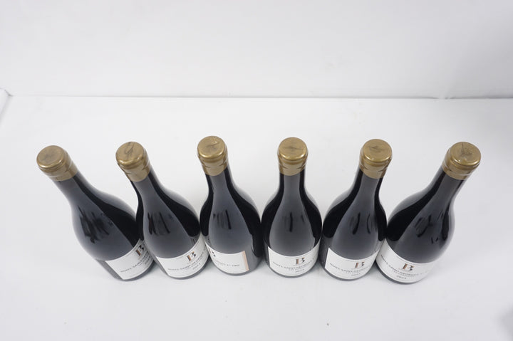 Boigey Freres Nuits Saint Georges Les Damodes 1er Cru 2023