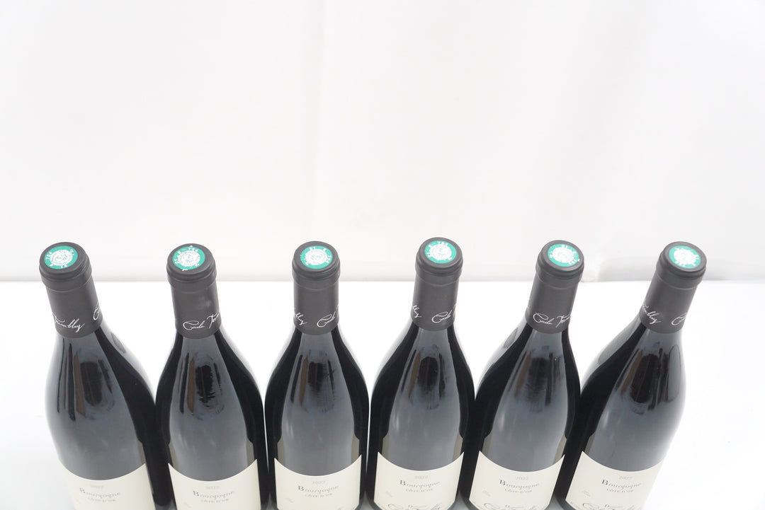 Cecile Tremblay Bourgogne Cote d'Or Rouge 2022