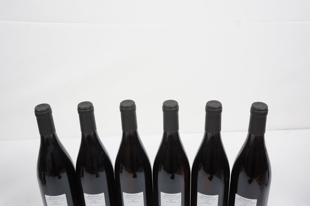 Domaine de Cassiopee Maranges Les Plantes Rouge 2022