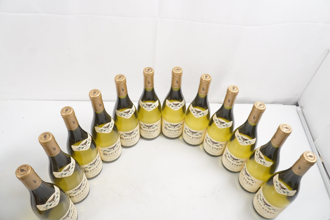 Coche Dury Bourgogne Blanc 2023