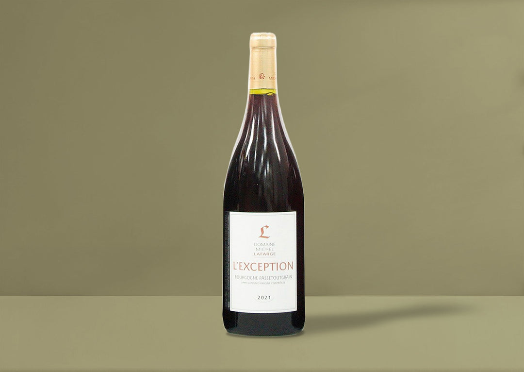 Michel Lafarge Bourgogne Passetoutgrain l'Exception 2021