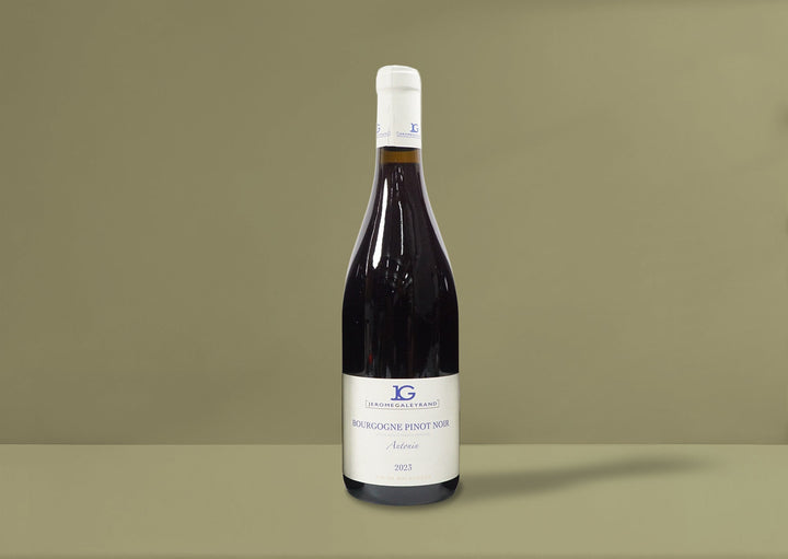 Jerome Galeyrand Cuvee Antonin Bourgogne Rouge 2023