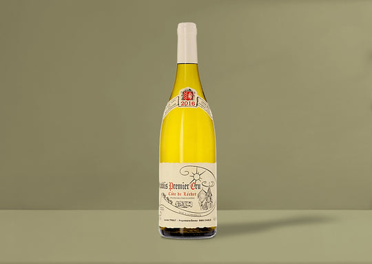 Laurent Tribut Chablis Cote de Lechet 1er Cru 2023