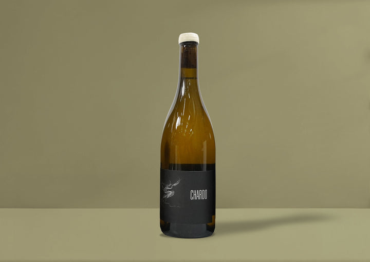 Maison Pinot Noar Bourgogne Blanc 2023