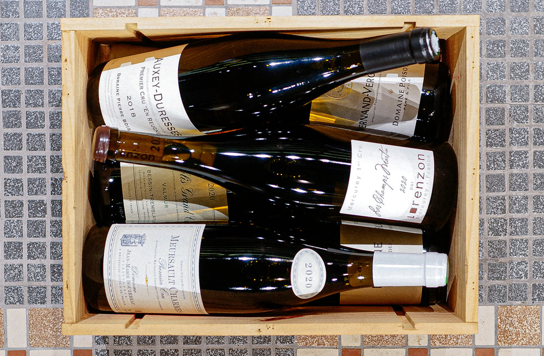 White Burgundy Discovery Case
