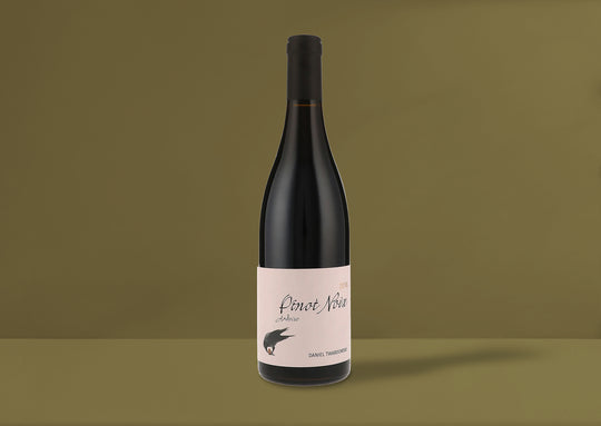 Daniel Twardowski Ardoise Pinot Noix 2018