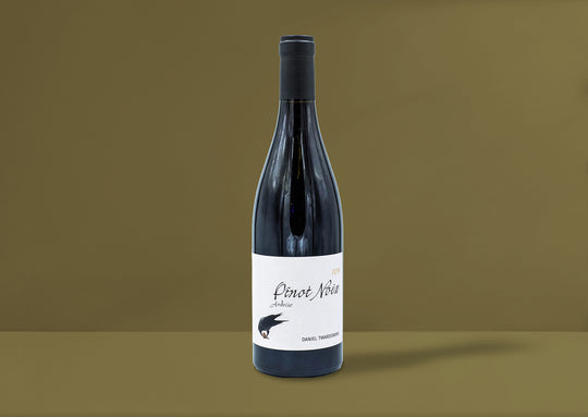 Daniel Twardowski Ardoise Pinot Noix 2019