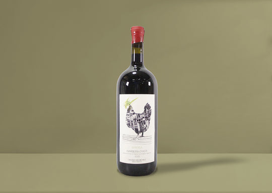 Cascina San Michele 'Primevigne' Barbera d'Asti DOCG Magnum 2020