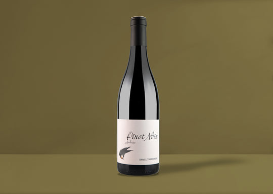 Daniel Twardowski Ardoise Pinot Noix 2013