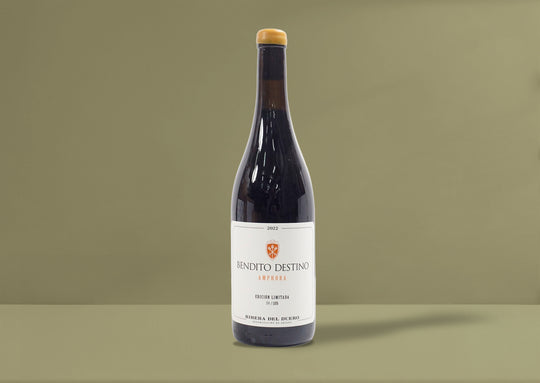Bendito Destino Amphora 2022
