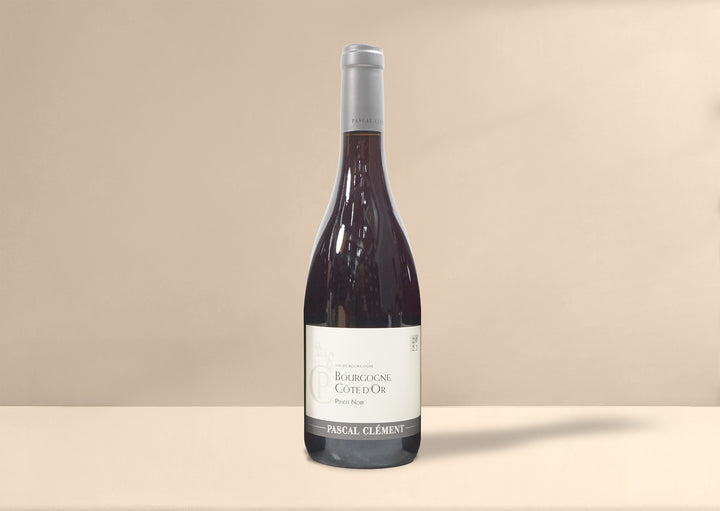 Pascal Clement Bourgogne Cote d'Or Pinot Noir 2022