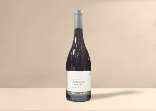 Pascal Clement Bourgogne Cote d'Or Pinot Noir 2022