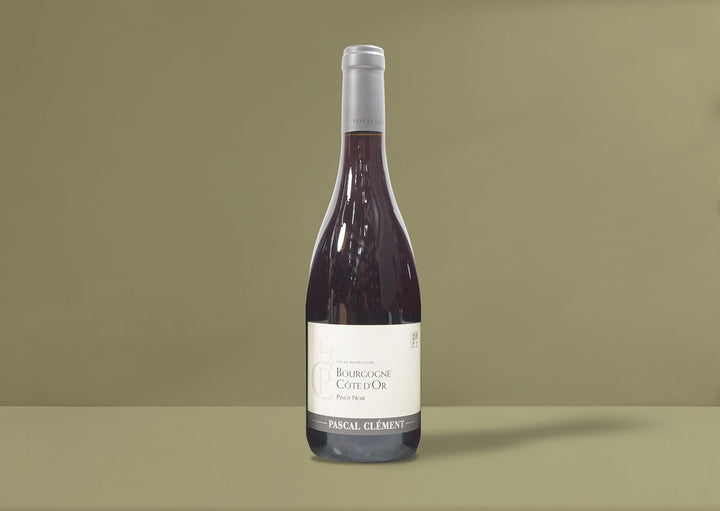 Pascal Clement Bourgogne Cote d'Or Pinot Noir 2022