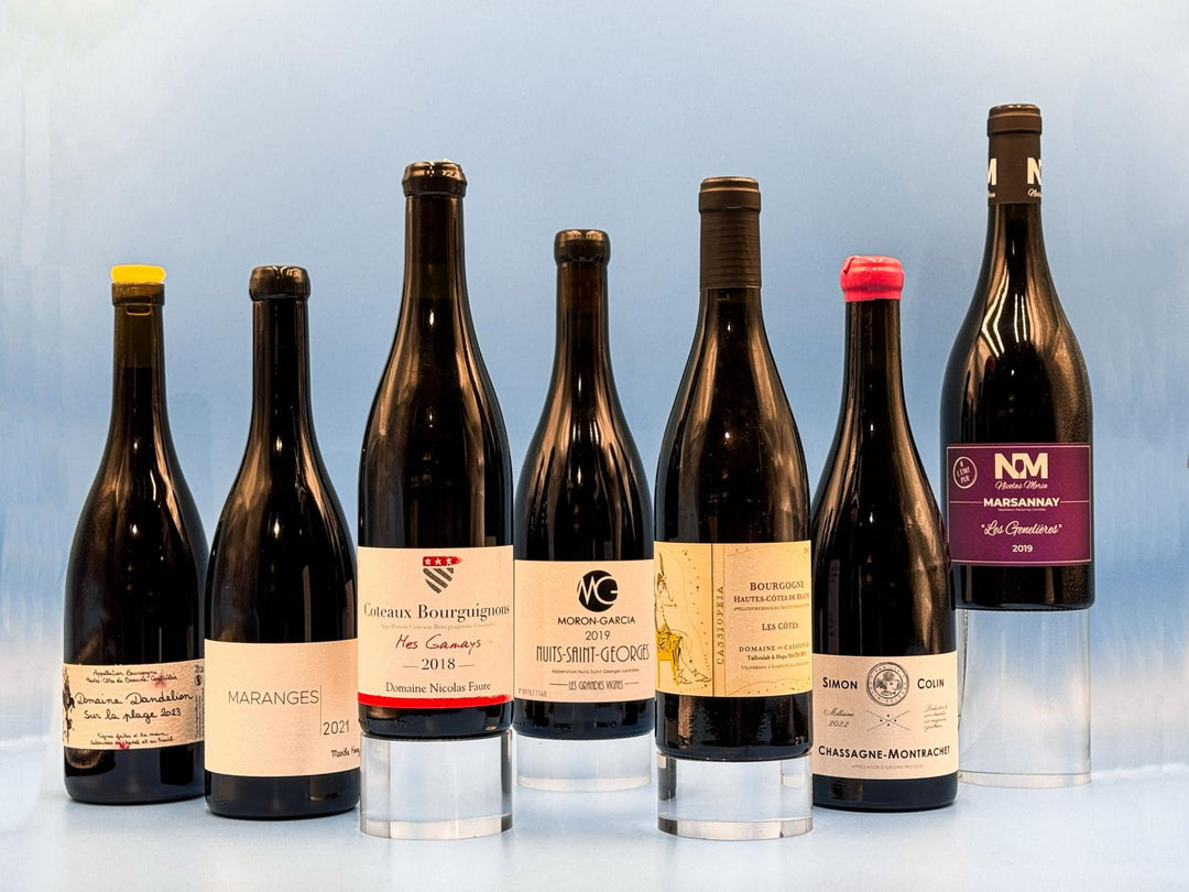 Rising Stars of Burgundy: New Wave Pinot Noir Tasting
