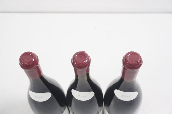 Leroy (Domaine) Nuits St Georges Aux Allots (Case of 3) 2011