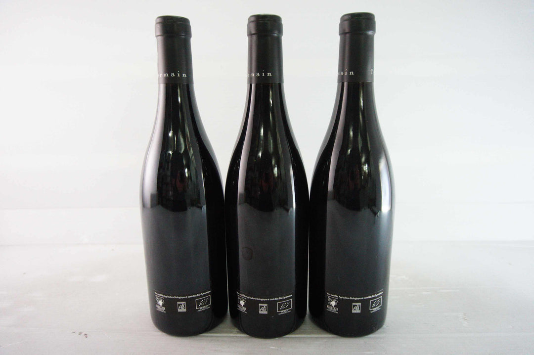 Thierry Germain Domaine des Roches Neuves Saumur Champigny Franc De Pied 2018