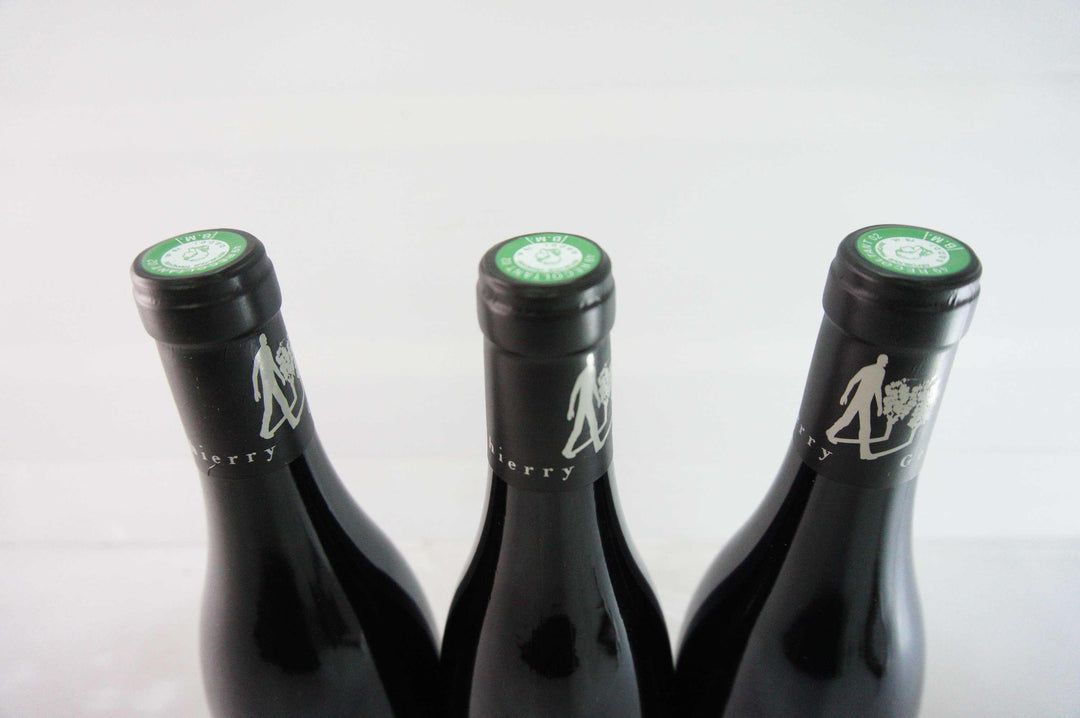 Thierry Germain Domaine des Roches Neuves Saumur Champigny Franc De Pied 2018