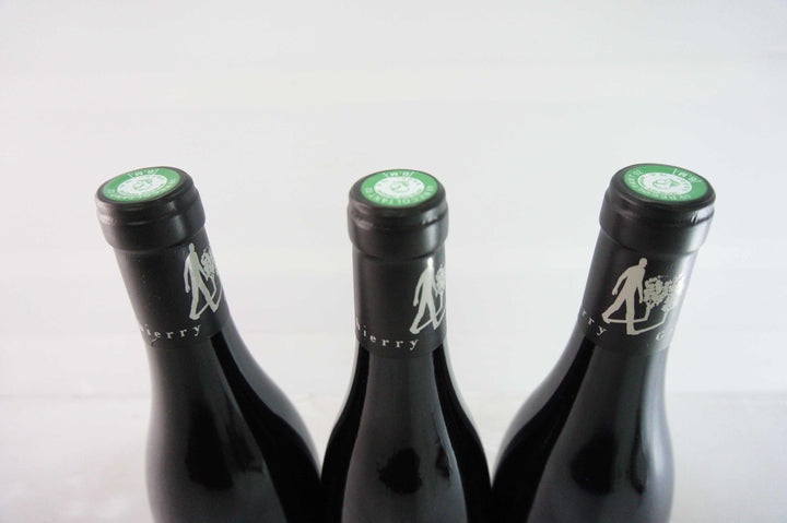 Thierry Germain Domaine des Roches Neuves Saumur Champigny Franc De Pied 2018