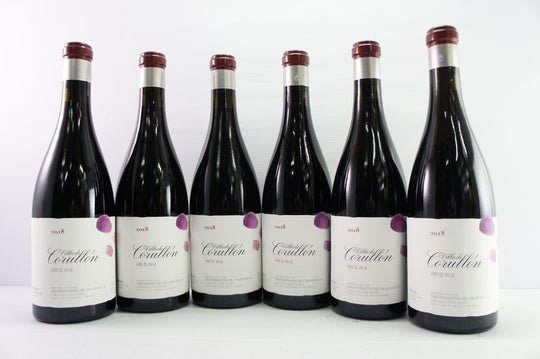 Descendientes de J. Palacios Villa de Corullon 2018