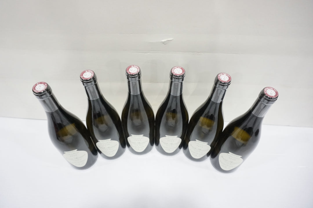 Domaine de Chassorney Saint Romain Combe Bazin Qvevris Blanc 2019