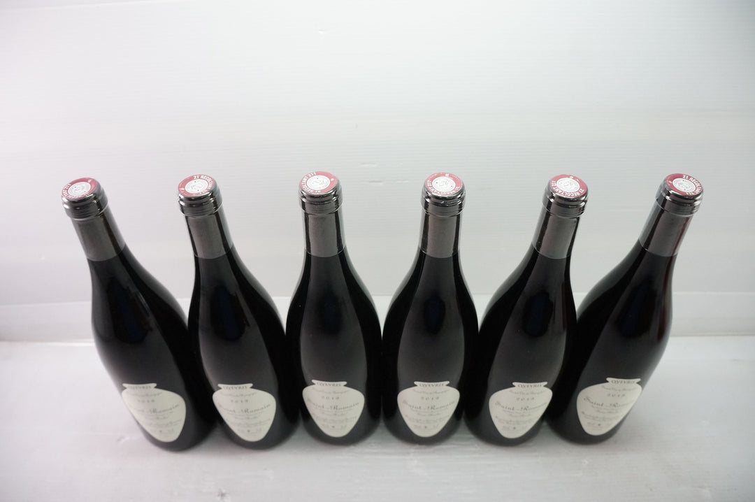 Domaine de Chassorney Saint Romain Sous Roches Qvevris Rouge 2019