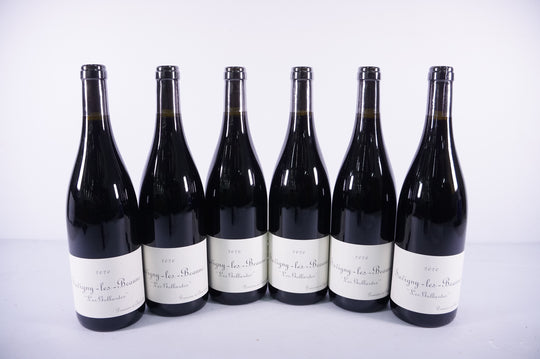 Domaine de Chassorney Savigny Les Beaune Les Gollardes Rouge 2020