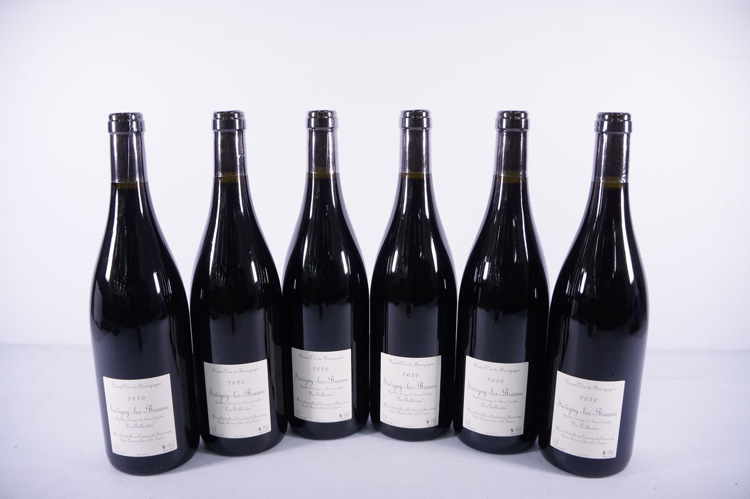 Domaine de Chassorney Savigny Les Beaune Les Gollardes Rouge 2020