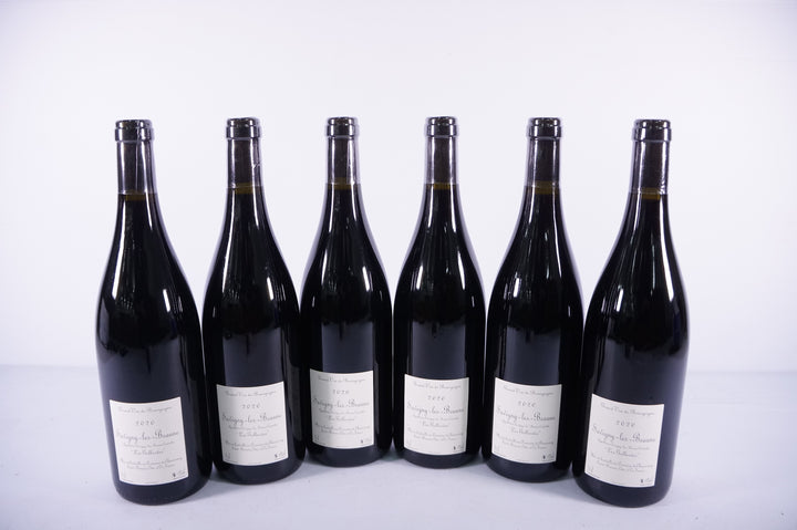 Domaine de Chassorney Savigny Les Beaune Les Gollardes Rouge 2020