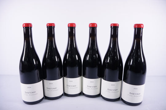 Frederic Cossard Santenay Passe Temps Rouge 2020