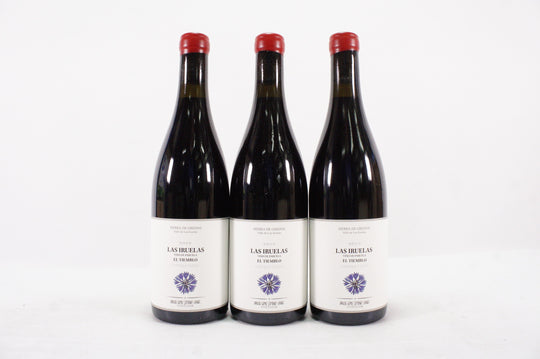 Daniel Gomez Jimenez Landi Las Iruelas El Tiemblo Garnacha 2019