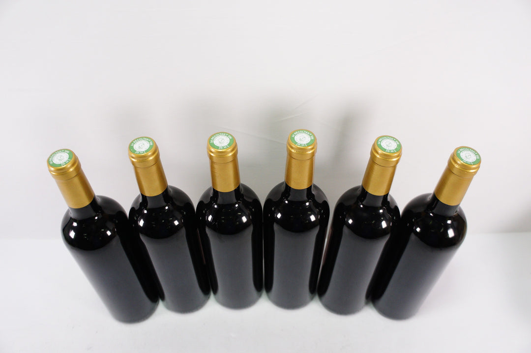 Peyre Rose Coteaux du Languedoc Syrah Leone 2008