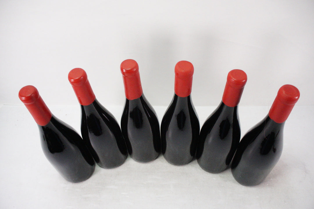 Domaine Fourrier Gevrey Chambertin VV 2020