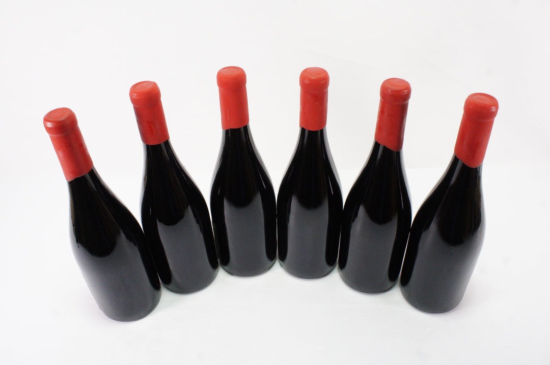 Domaine Fourrier Gevrey Chambertin VV 2017