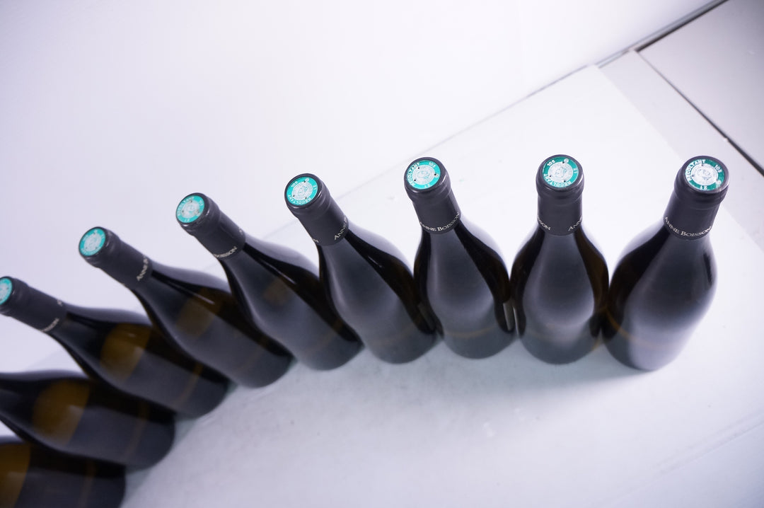 Anne Boisson Bourgogne Aligote 2019