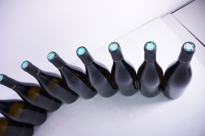Anne Boisson Bourgogne Aligote 2019