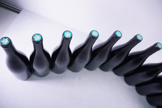 Pierre Boisson Auxey Duresses 1er Cru 2019