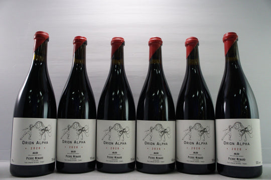 Pierre Menard Anjou 'Orion Alpha' 2020