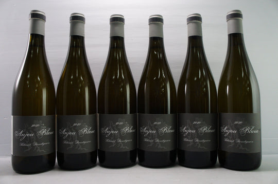 Thibaud Boudignon Anjou Blanc 2020