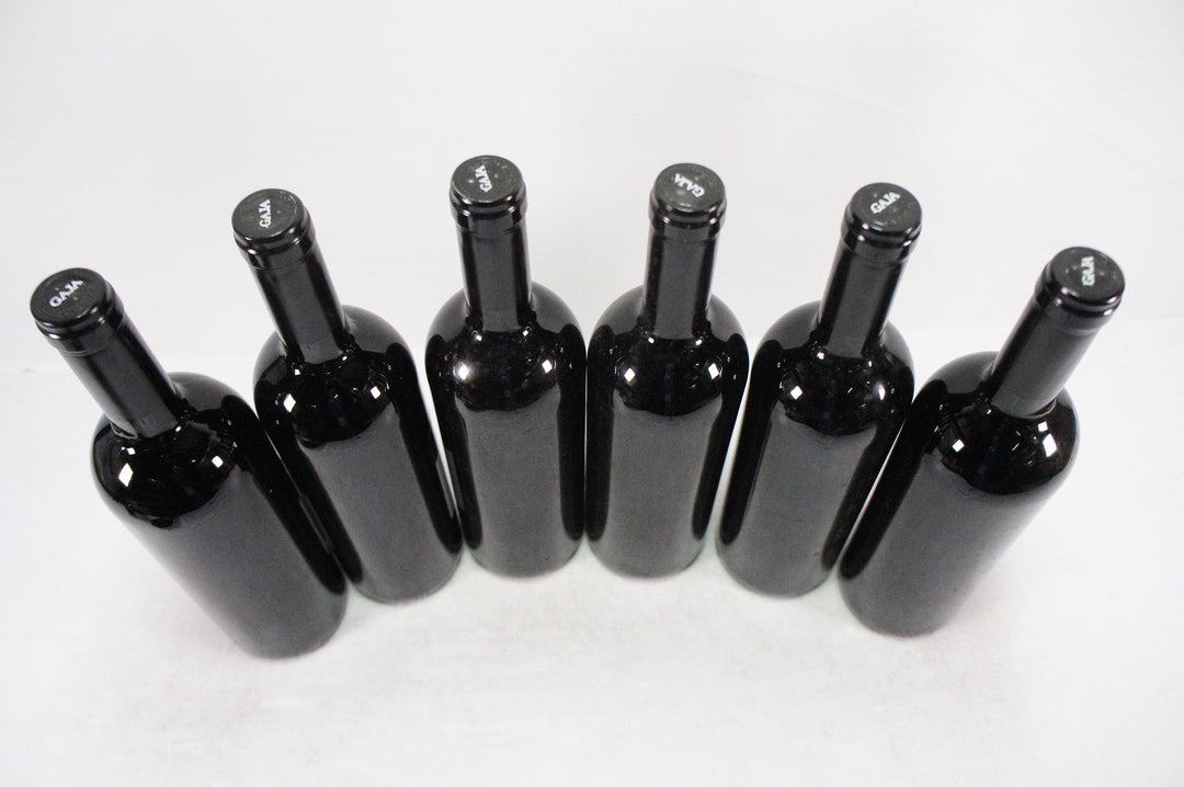 Gaja Darmagi 2004