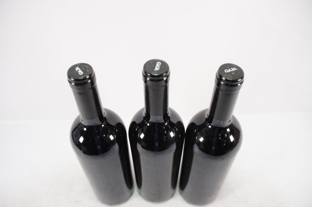 Gaja Darmagi 2005