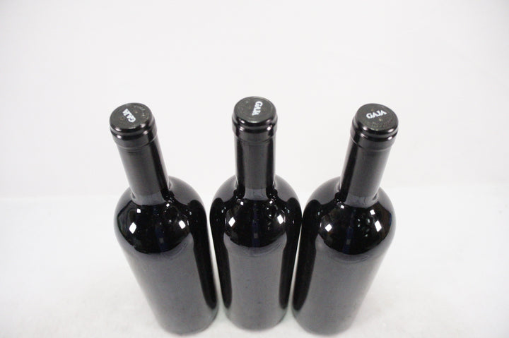 Gaja Darmagi 2005