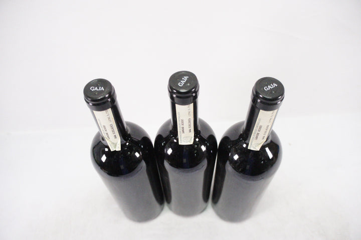Gaja Darmagi 2007