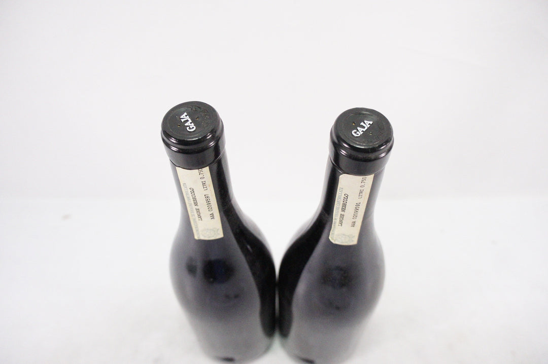 Gaja Sori Tildin 2006