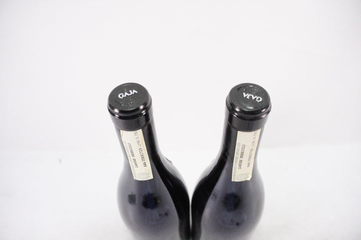Gaja Sori Tildin 2007